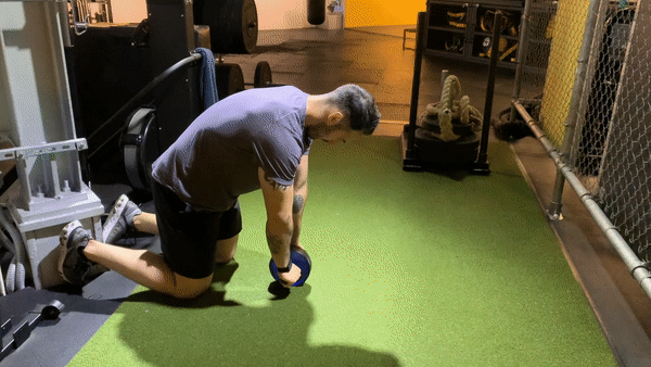 Versatile Ab Wheel with Pull Strap - Complete Gym Fitness Training Set